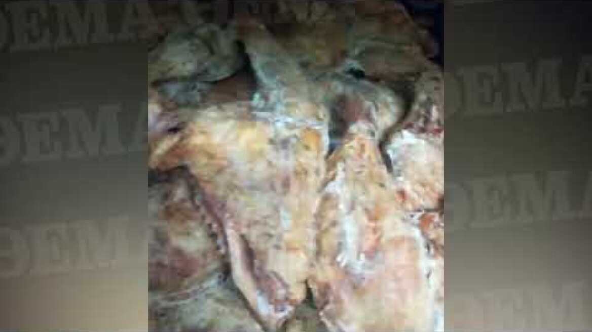 Δείτε τόνους με ακατάλληλα κρέατα που θα κατέληγαν στα νοσοκομεία και δημοτικές επιχειρήσεις