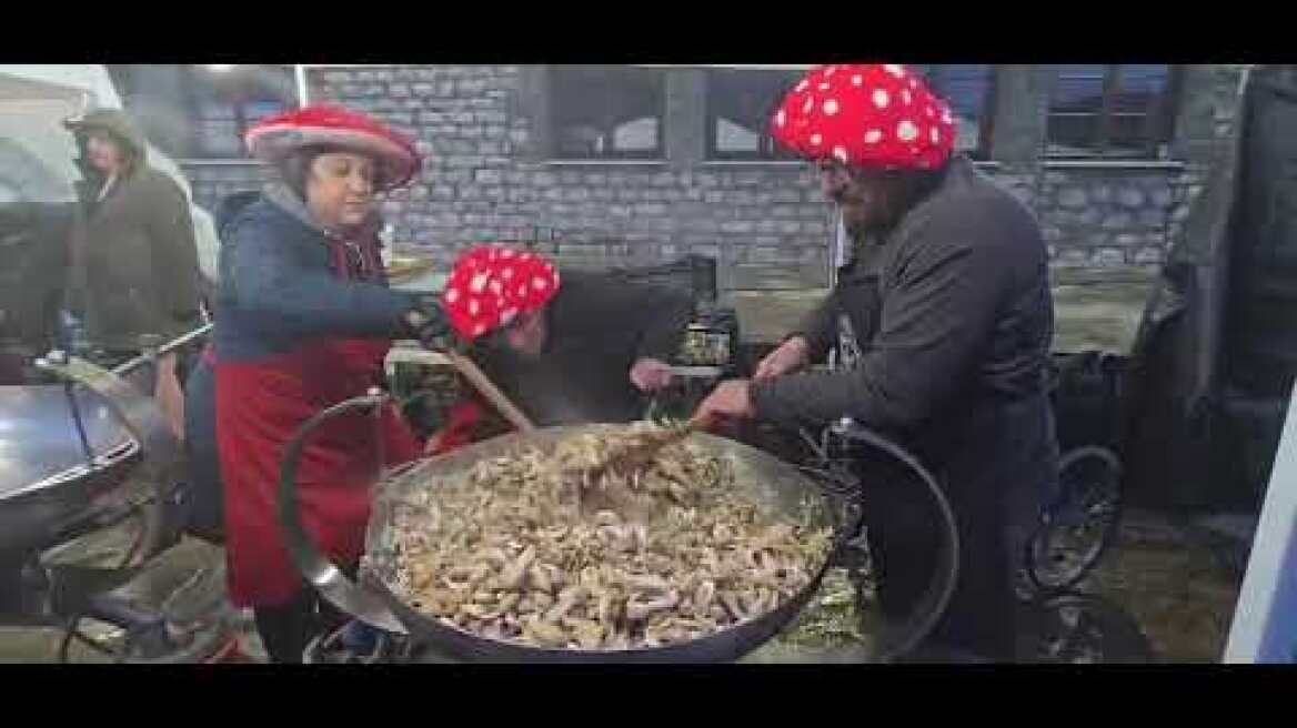 Η πρώτη συνάντηση μανιταρόφιλων  πραγματοποιήθηκε το Σαββατοκύριακο στην Λίμνη Πλαστήρα (1)