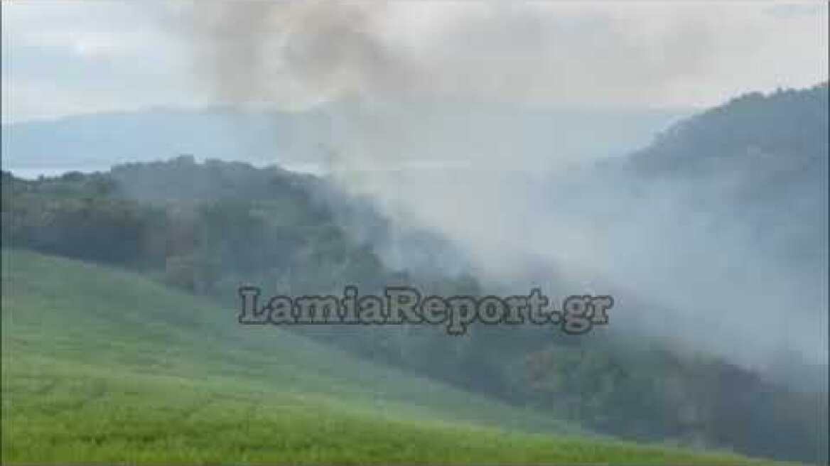 LamiaReport.gr: Φωτιά στο Γουλέμι Λοκρίδας