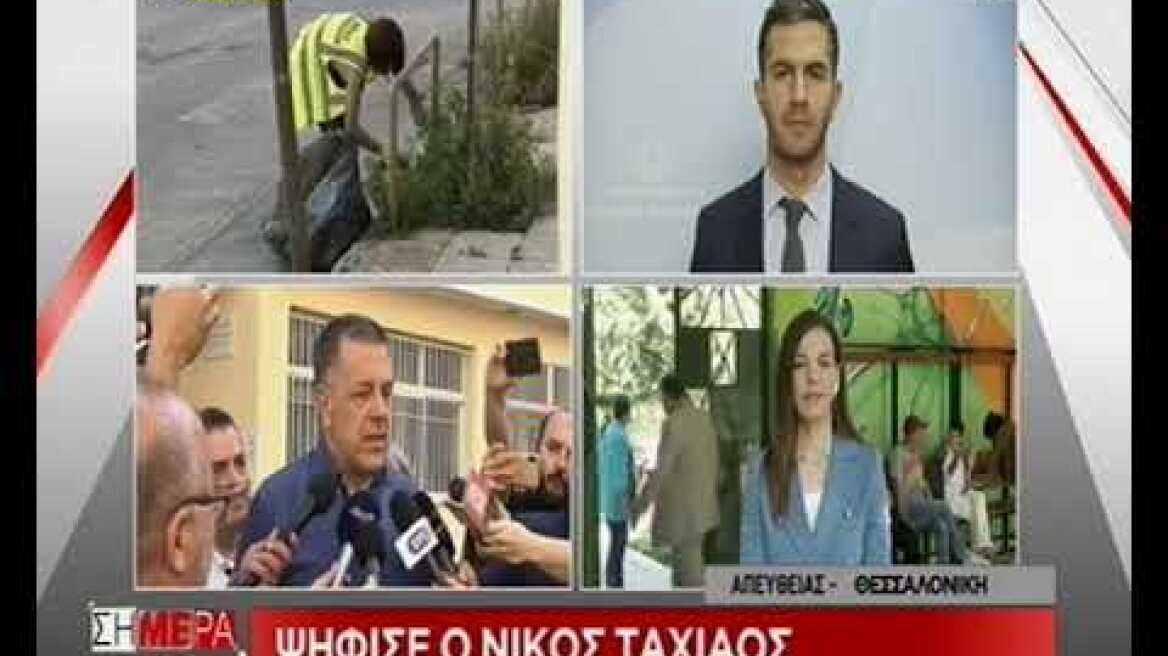 taxiaos dilwseis