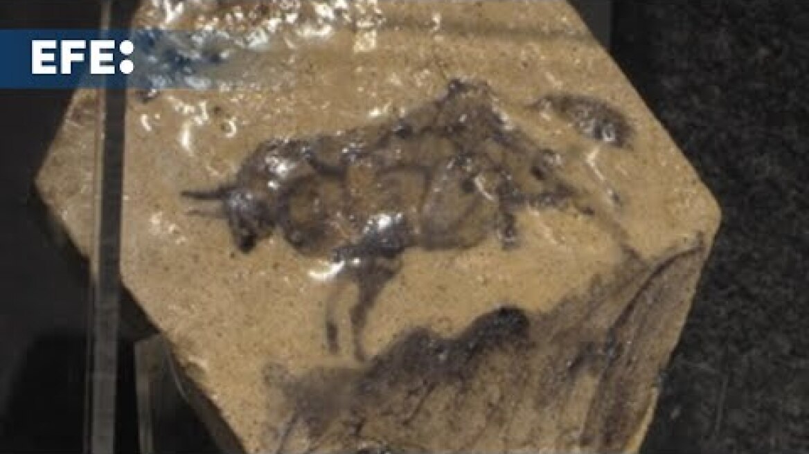 La casa de subastas Piguet pone a la venta 7 cerámicas inéditas de Picasso en Ginebra