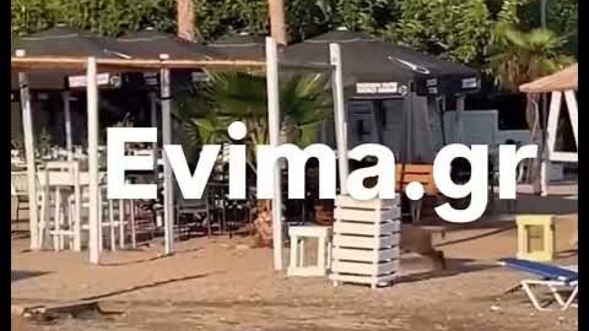 Αγριογουρουνο κάνει μπάνιο σε παραλία της Εύβοιας 