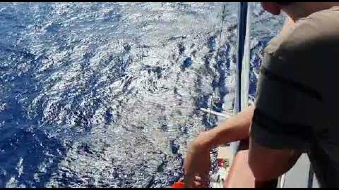 Διάσωση ιστιοπλοϊκού (7)