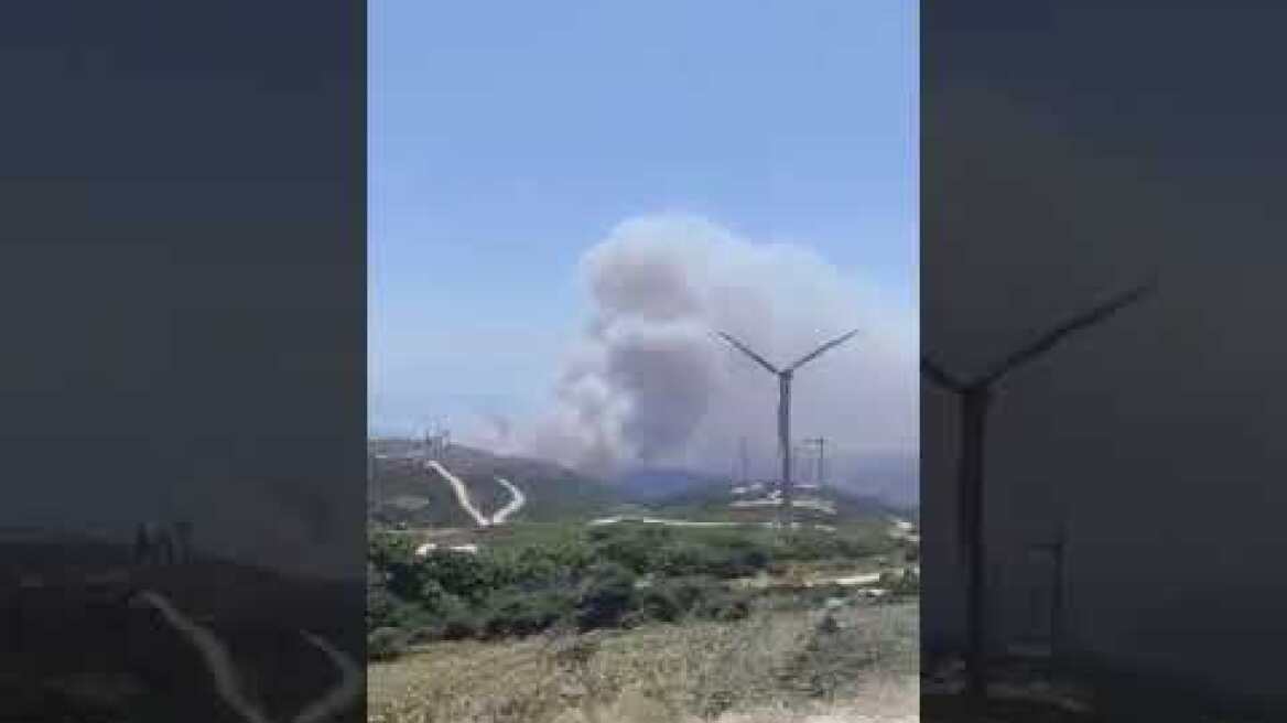 Φωτιά στην Κάρυστο