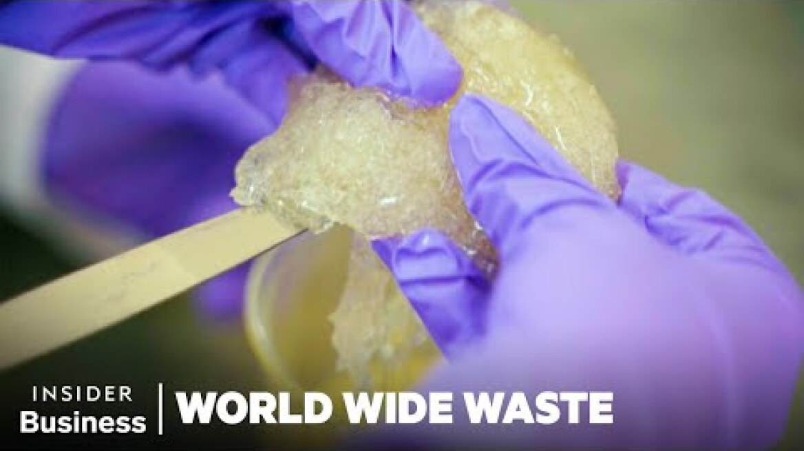 Can Indian Seaweed Replace Plastic? | World Wide Waste | Insider Business