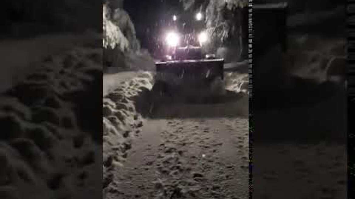 Διονυσος βίντεο