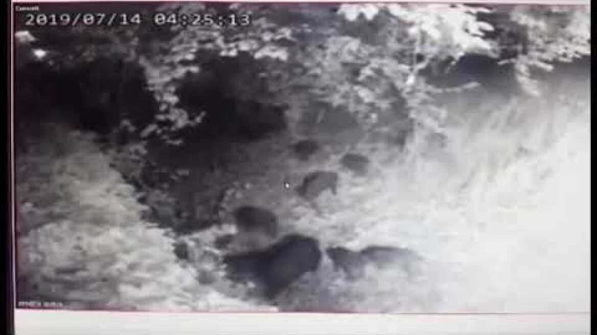 Απίστευτο βίντεο: Οικογένεια από γουρουνάκια εμφανίστηκε στην Εκάλη