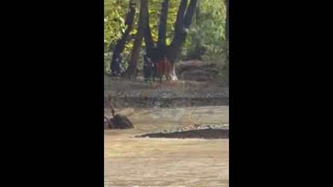 Διάσωση 27χρονου άντρα στην Εύβοια