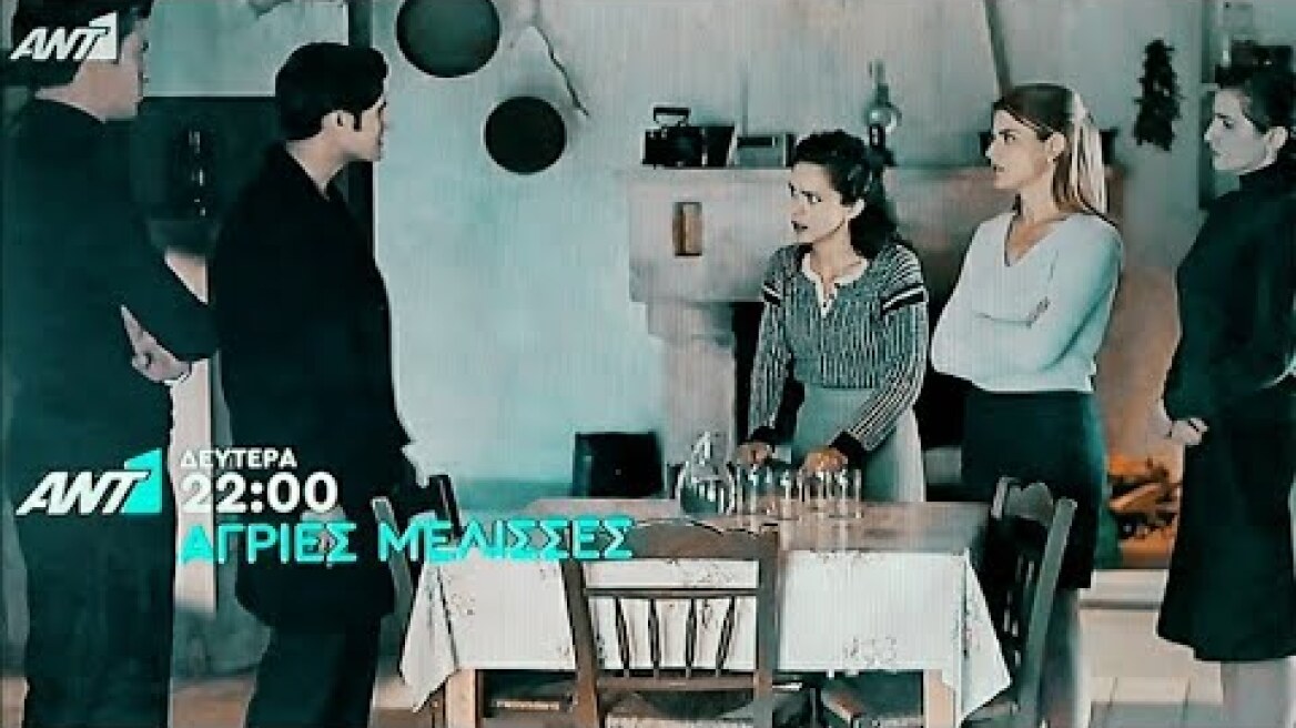 Ραγδαίες οι εξελίξεις στις Άγριες Μέλισσες 