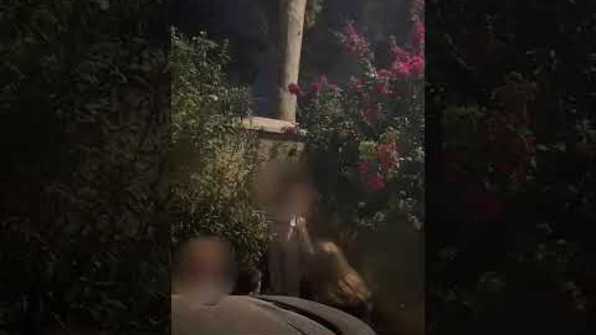 Κόσμος προσπαθεί να μπει στη συναυλία της Άννας Βίσση