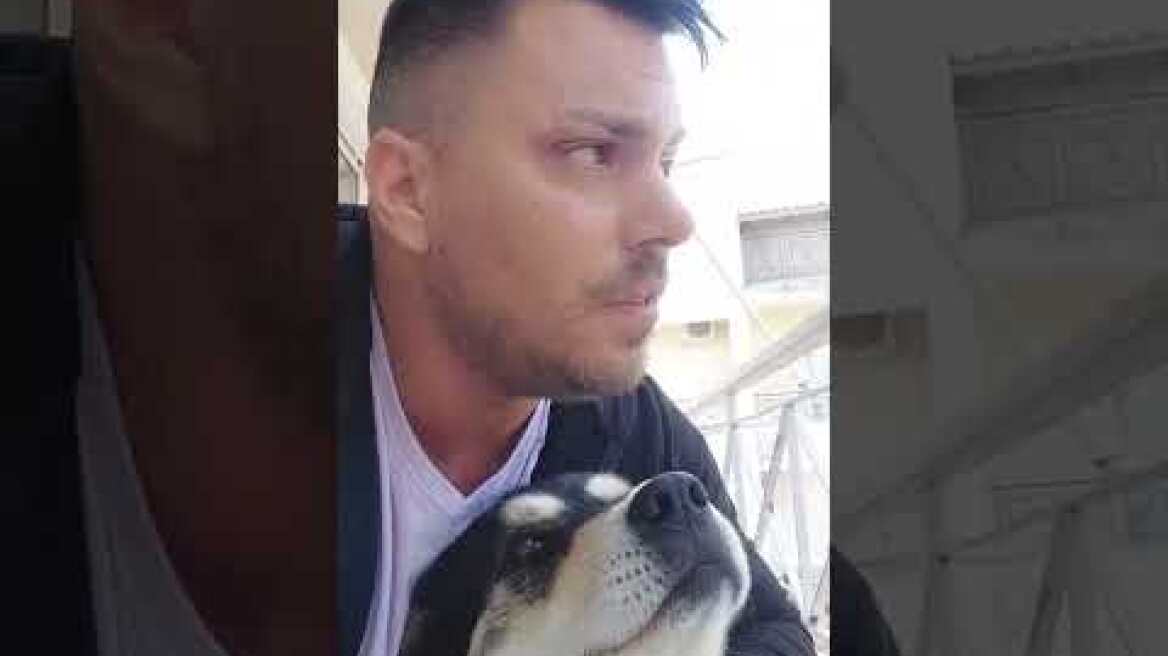 Ο γύπας του tik tok ...ξαναχτυπά