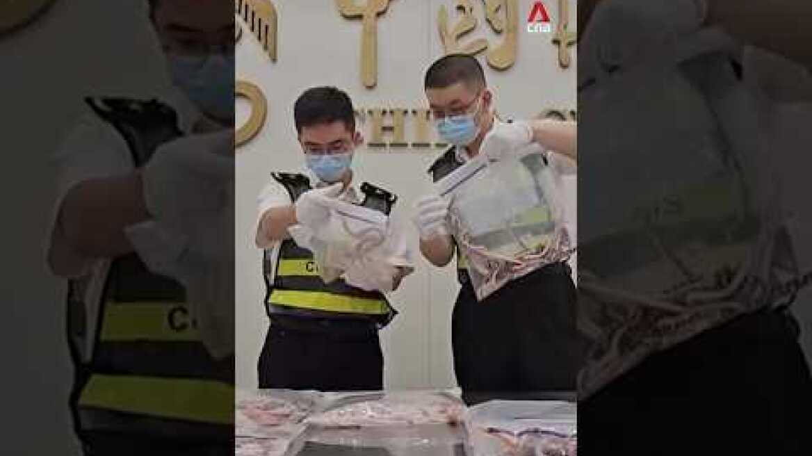 Man caught smuggling over 100 live snakes in his pants into China