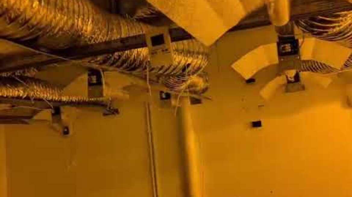 Εντοπίσθηκε φυτώριο υδροπονικής καλλιέργειας δενδρυλλίων κάνναβης στη Νέα Χαλκηδόνα Αττικής