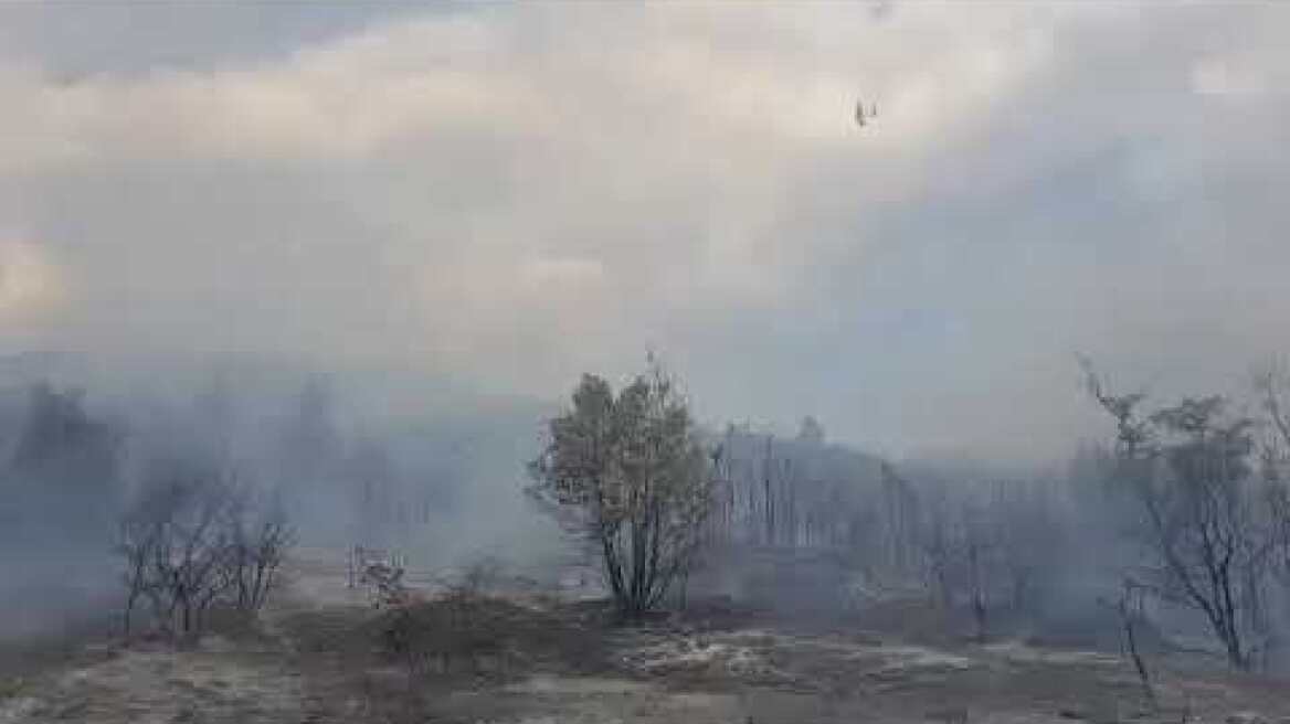 Πυρκαγιά Λευκίμμη Σουφλίου