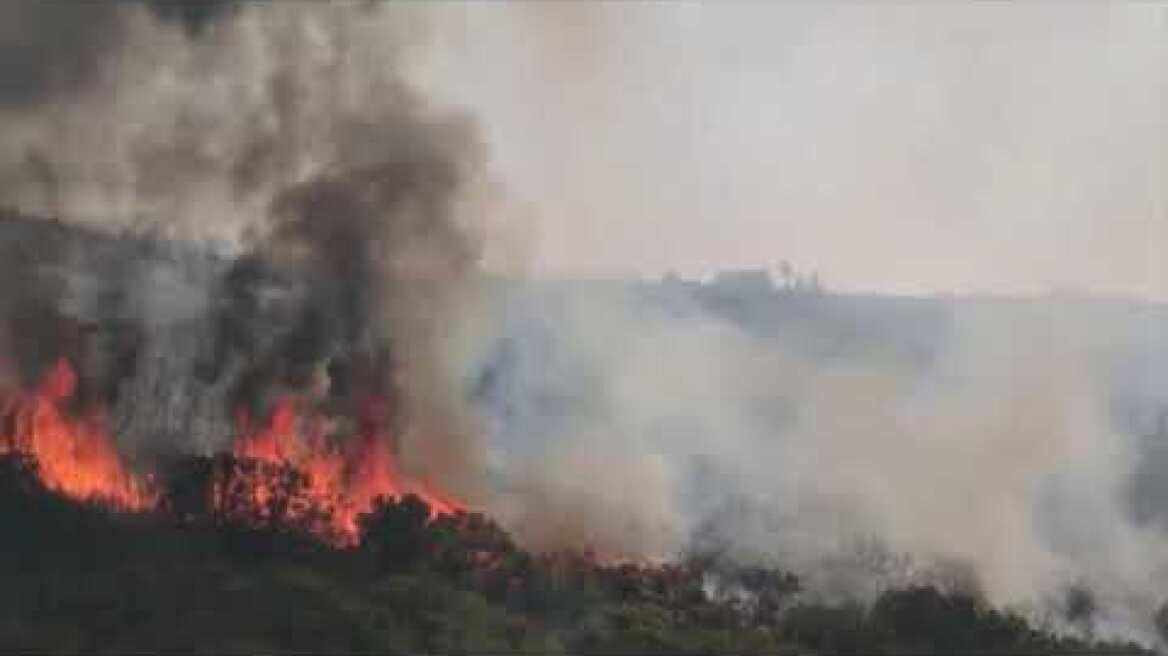 HALKIDIKINEWS - Φωτιά στην Τριστινίκα, Σιθωνία