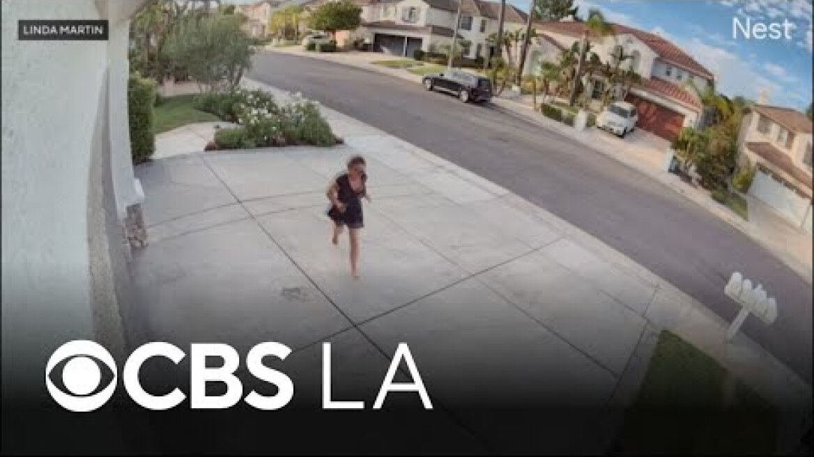 Rattlesnake bites Stevenson Ranch woman while she tends her garden
