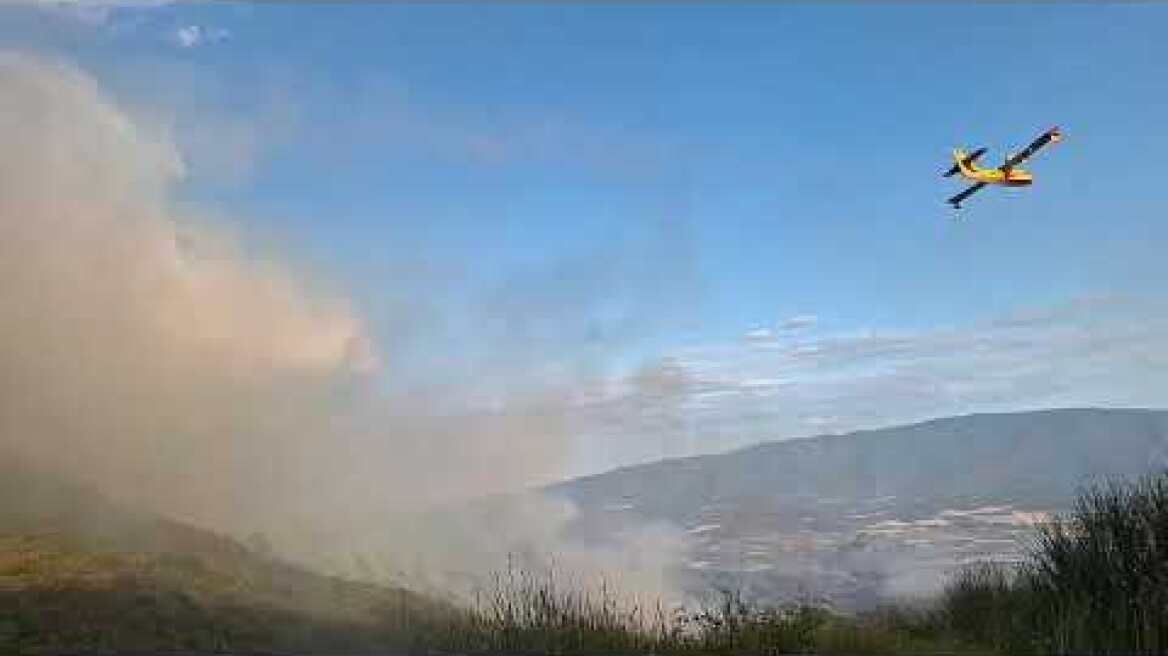 Φωτιά στη Λάρισα (8)