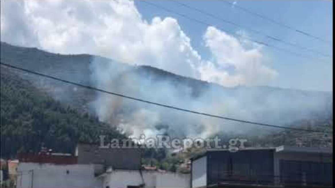 LamiaReport.gr: Φωτιά πάνω από σπίτια στην Αταλάντη