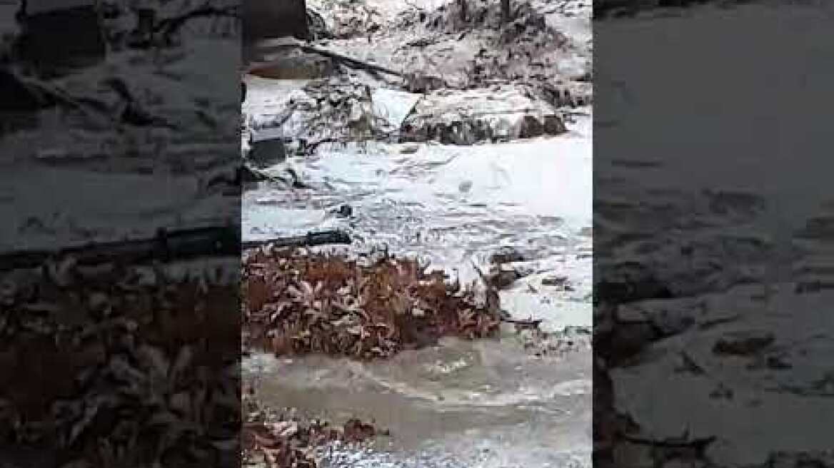 "Χαλασμός" και στο Μαριδάκι από την ισχυρή νεροποντή