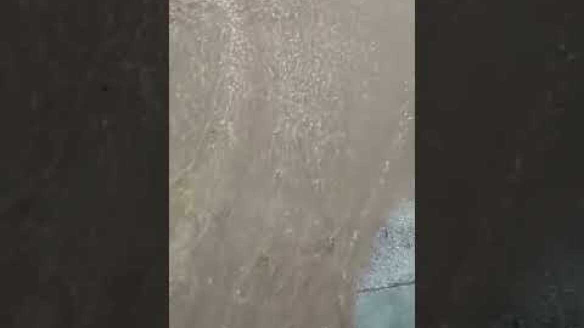 Κακοκαιρία στην Αμφιλοχία: Μεγάλος όγκος νερού με φερτά υλικά κατεβαίνει από το δασύλλιο