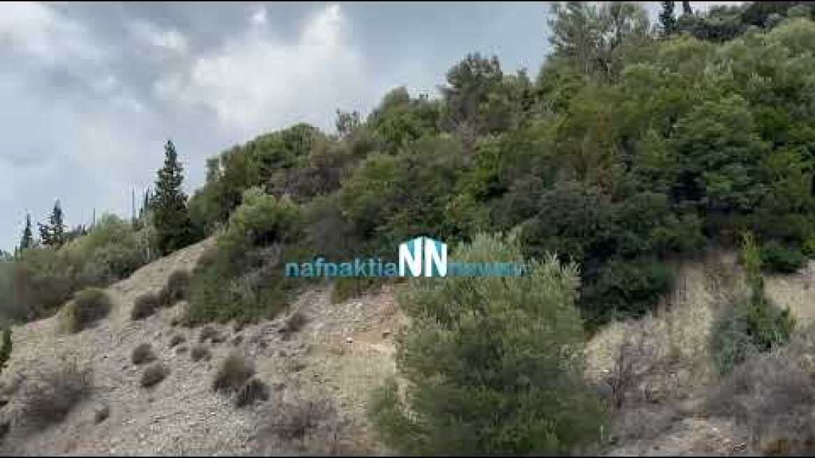 Φωκίδα: Φέρεται να ομολόγησε ο 38χρονος ότι σκότωσε τον πατέρα του-Δείτε πρώτες εικόνες.