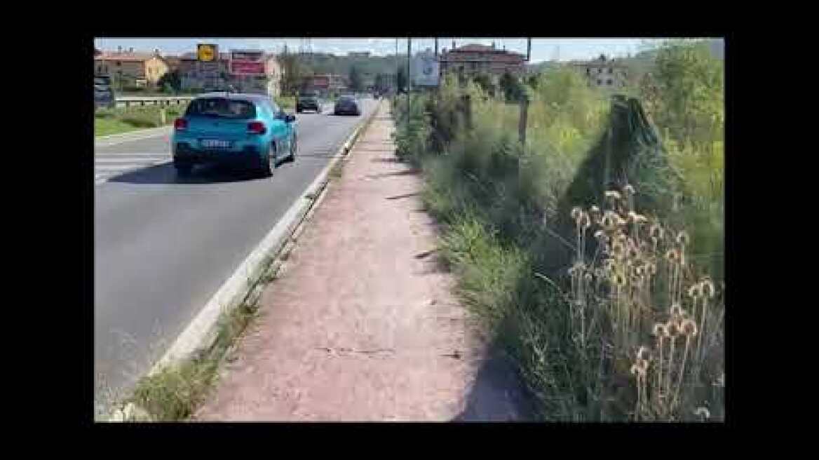 erzsebet katalin bradacs