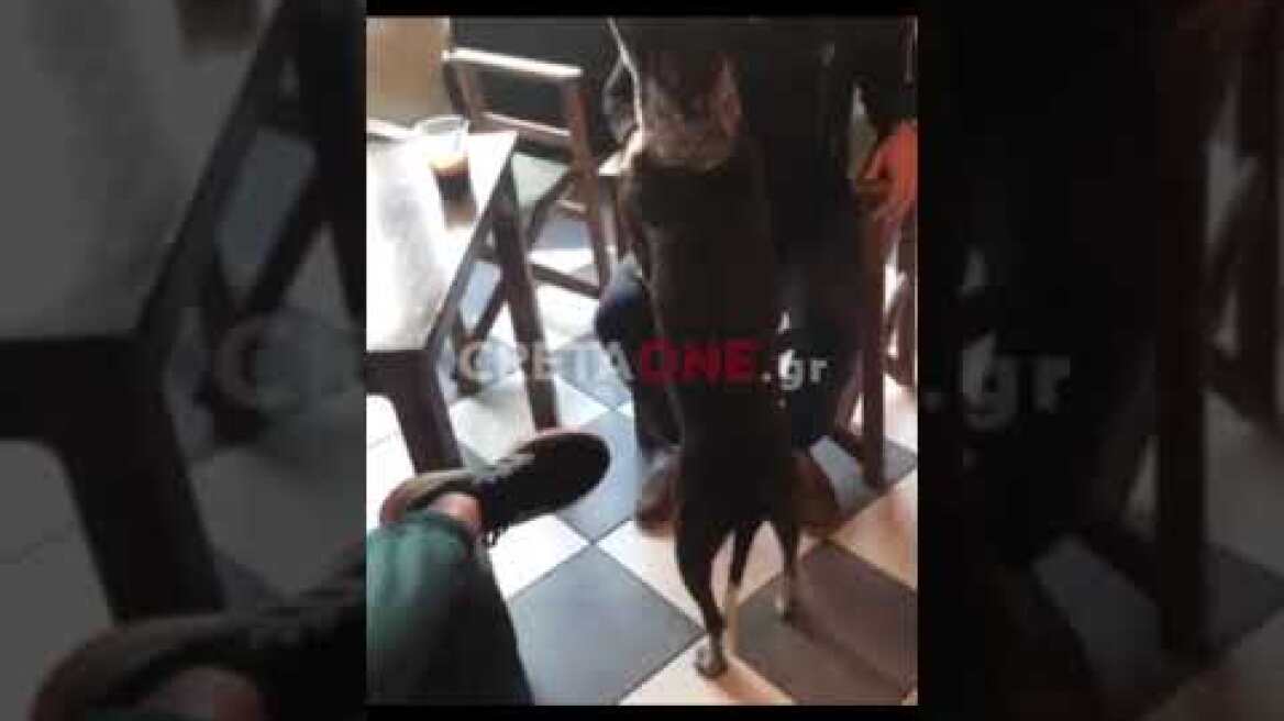 Σκύλος - στρατιώτης «βαράει προσοχή» στο σάλπισμα για έπαρση σημαίας | Cretaone.gr