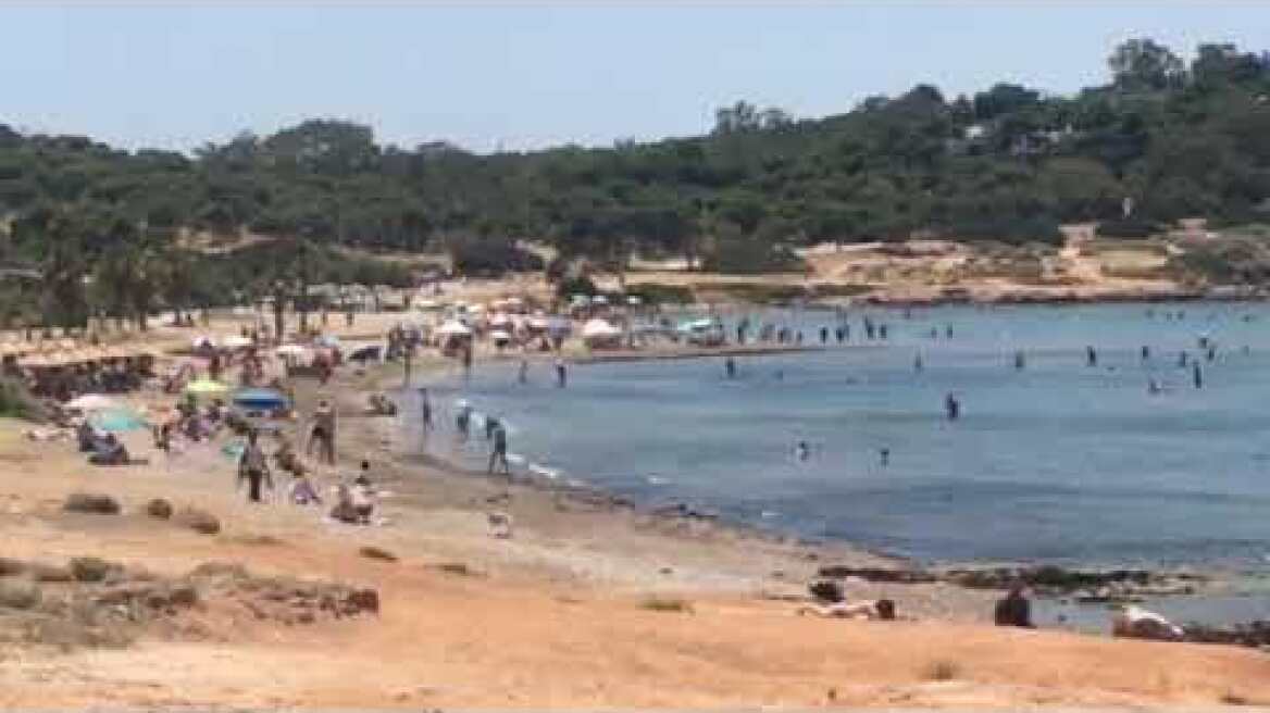 Βίντεο Καβούρι