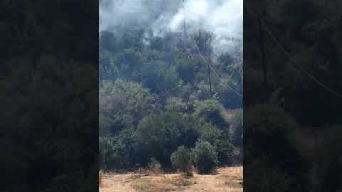 Φωτιά στην Μάνη