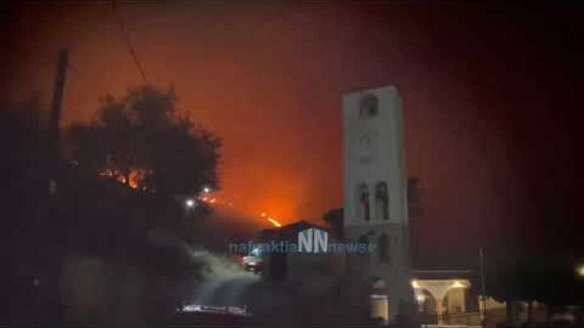 ΦΩΚΙΔΑ Τολοφωνα :Πήρε μαζί της τα ζώα της για να τα προστατέψει από τη φωτιά