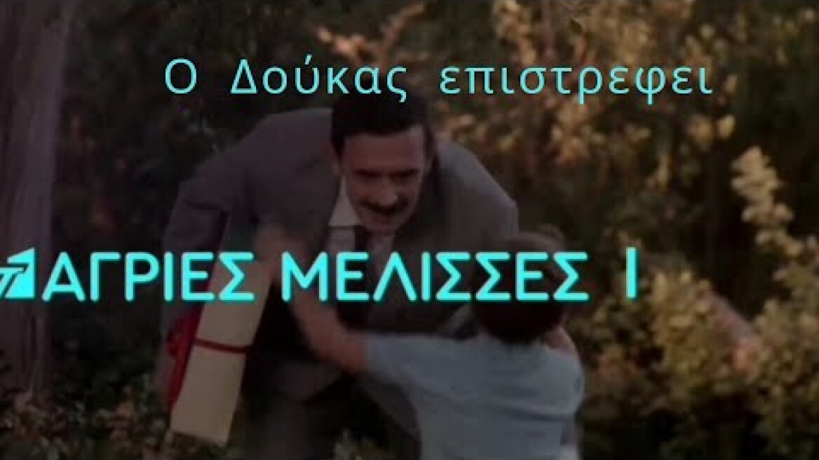 Άγριες μέλισσες τρέιλερ 6-11-2020