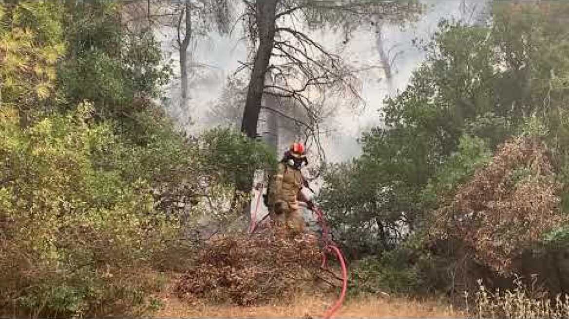 Φωτό πυροσβέστες μέσα στο δάσος