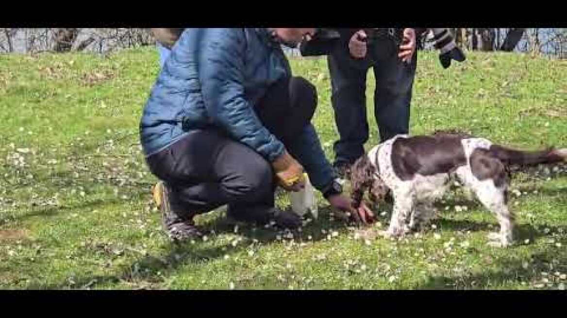 Η πρώτη συνάντηση μανιταρόφιλων  πραγματοποιήθηκε το Σαββατοκύριακο στην Λίμνη Πλαστήρα (3)