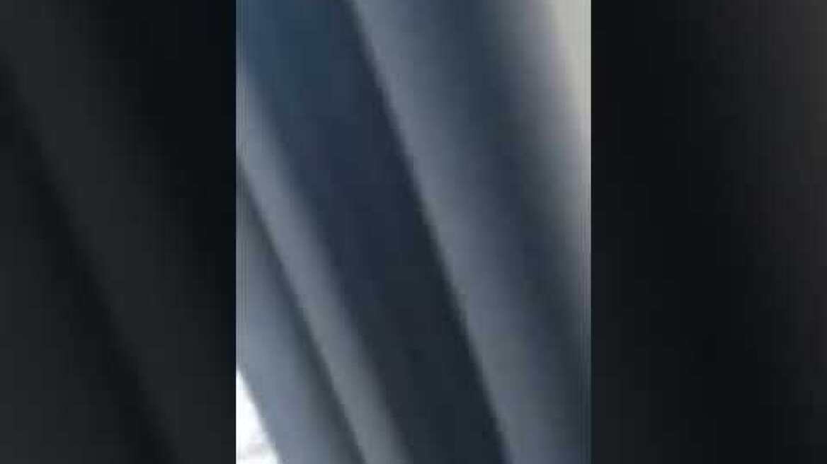 5 ΑΡΚΟΥΔΕΣ λίγο έξω από τη Σιάτιστα  ...