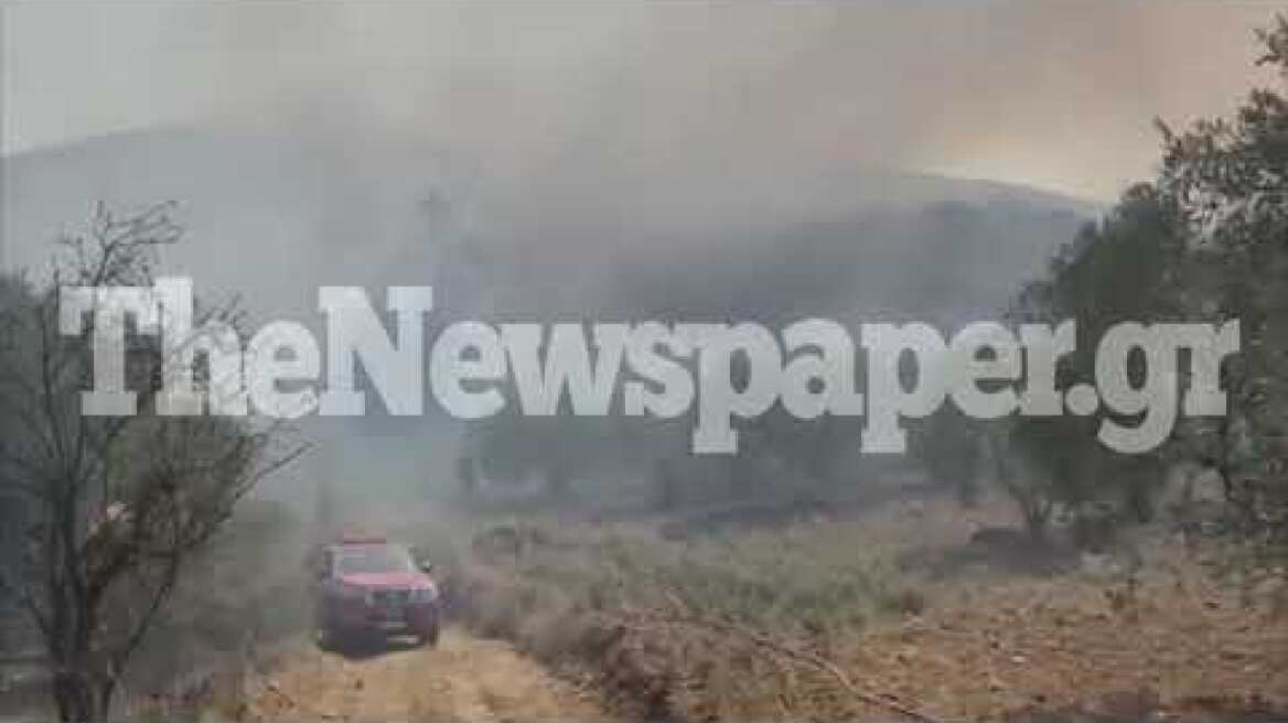 Φωτιά στο Σέσκλο Βόλου