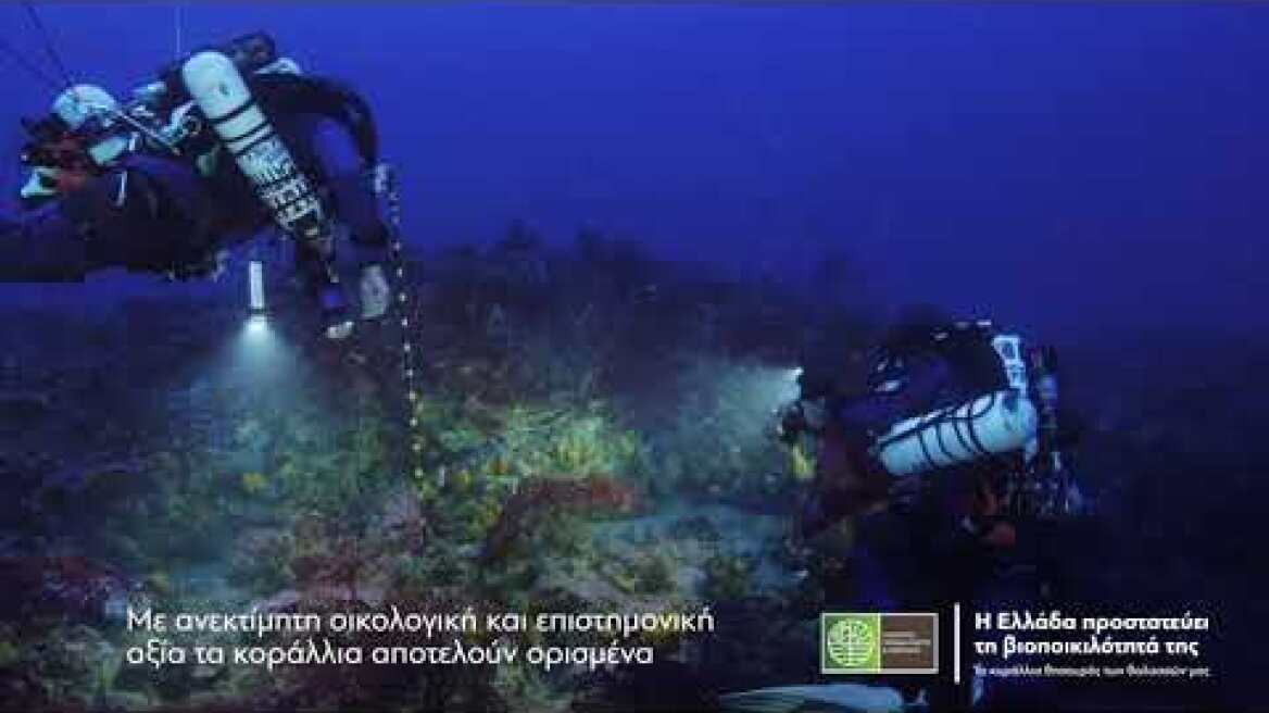 Η Ελλάδα προστατεύει τα κοράλλια της
