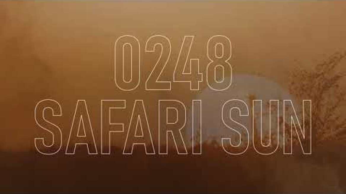 Vitex | Color Of The Year 2024