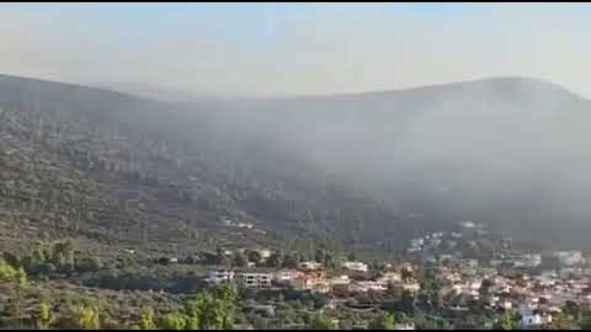 Φωτιά στο Σοφικό (2)