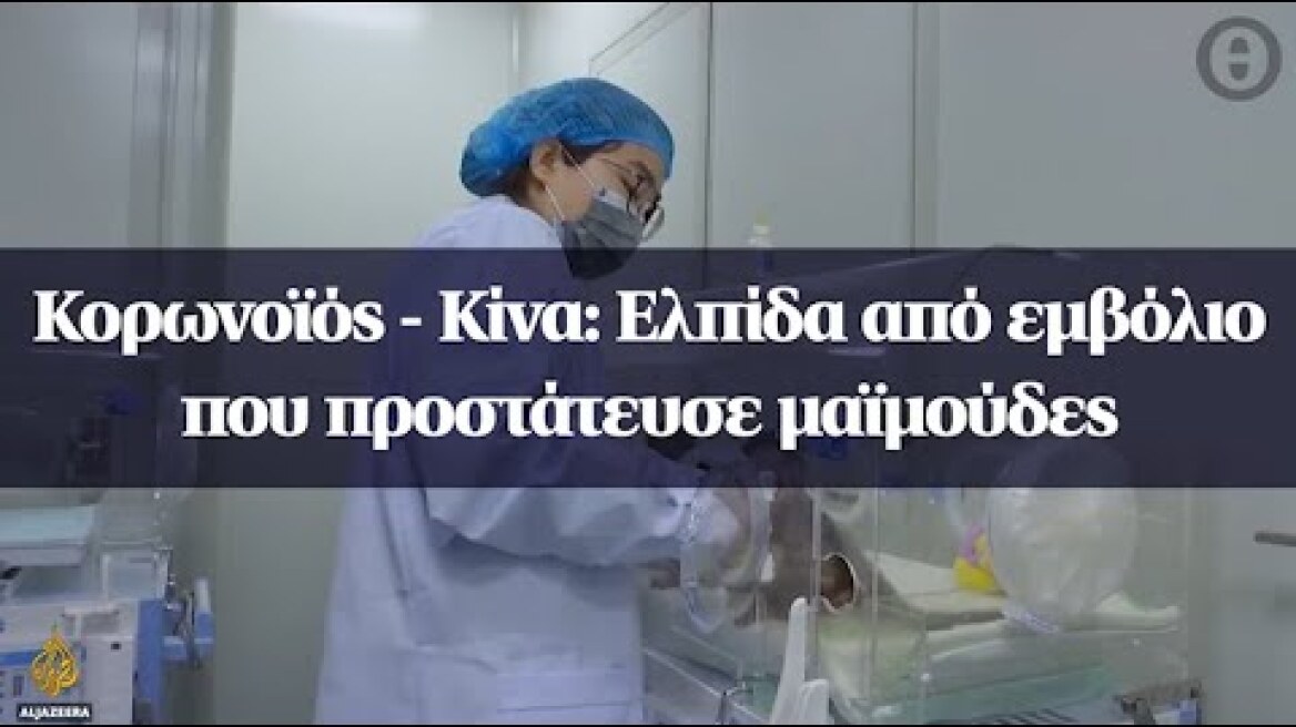 Κορωνοϊός - Κίνα: Ελπίδα από εμβόλιο που προστάτευσε μαϊμούδες