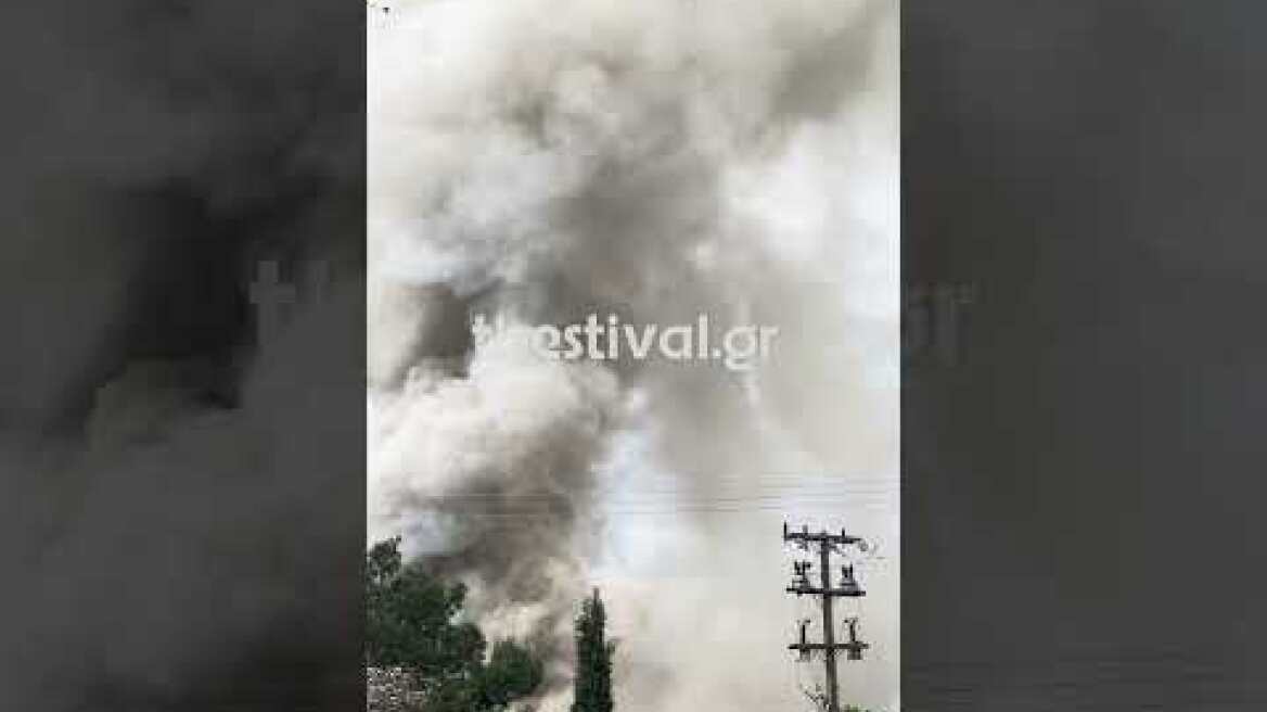 Thestival.gr Φωτιά στη Νεοχωρούδα