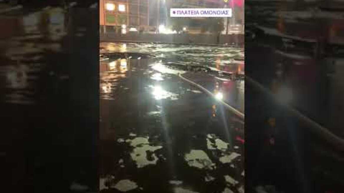 86821045 614846412701453 6977165170664308748 n