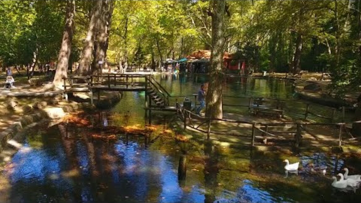 Νάουσα Ημαθίας-Το άλσος του Αγίου Νικολάου inpozar.net