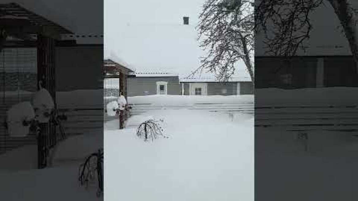 Oslo Norway today suffered a -10 degrees snowstorm #oslo #norway #snowstorm