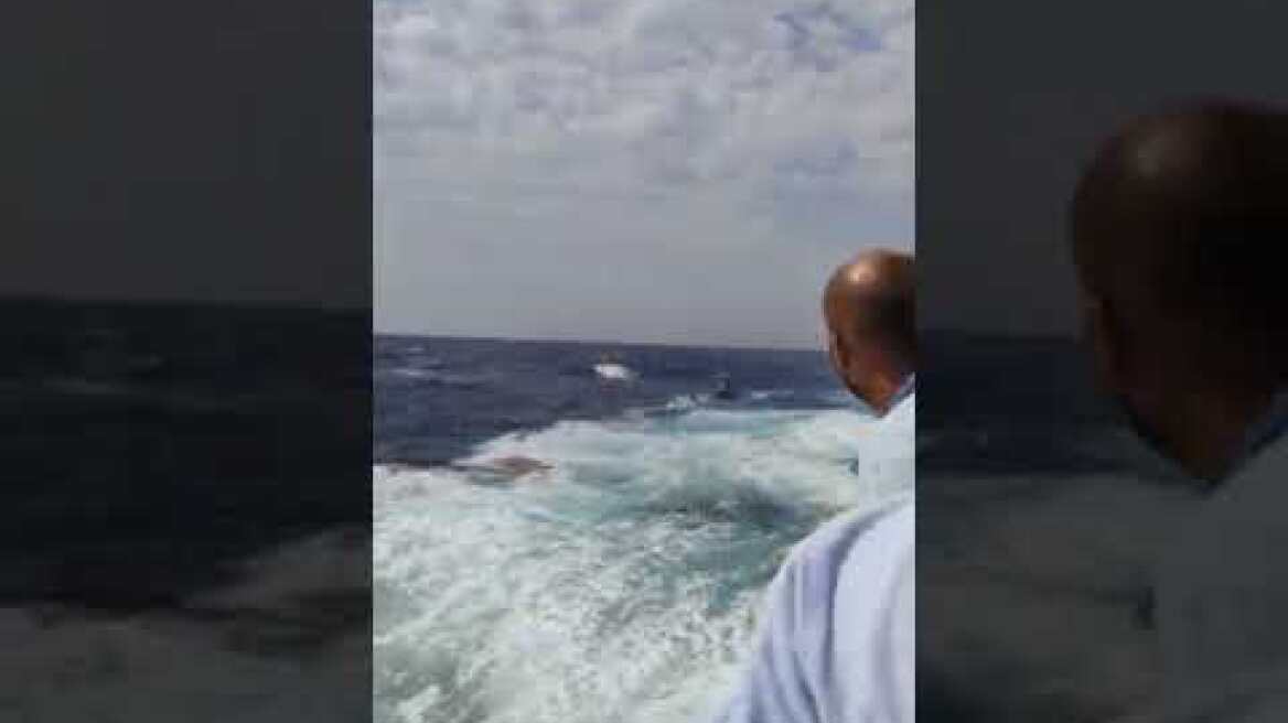 Διάσωση σε συντονισμό με το λιμενικό από το ταχύπλοο Seajet 2 της SEAJETS