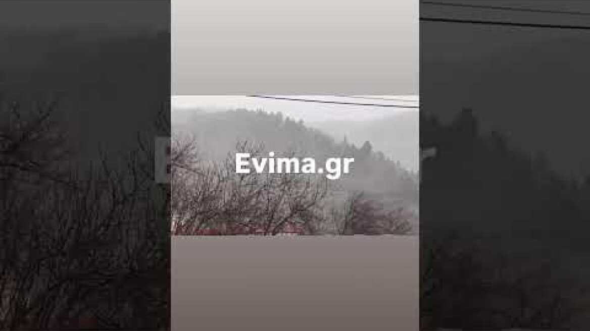 Εύβοια: Χιονίζει στα Καμπιά