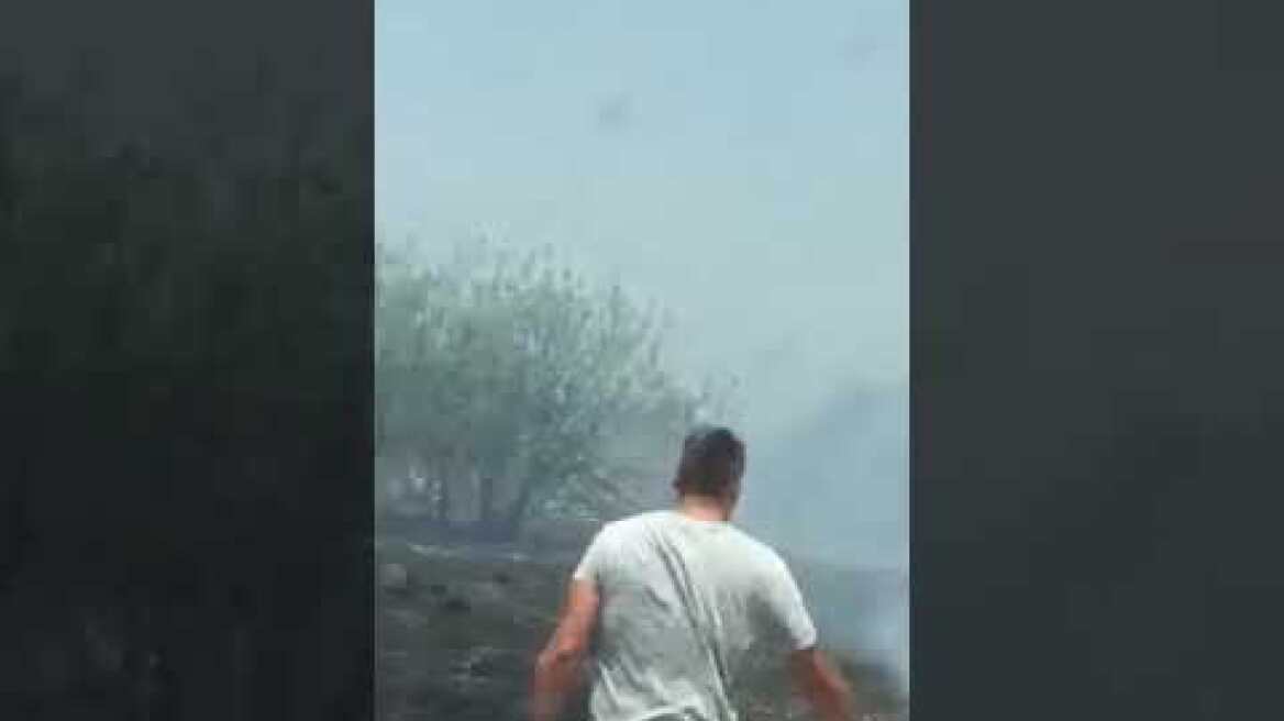 Μεγάλη φωτιά στην Κυρά Βρύση – Κινδυνεύουν σπίτια  korinthostv.gr