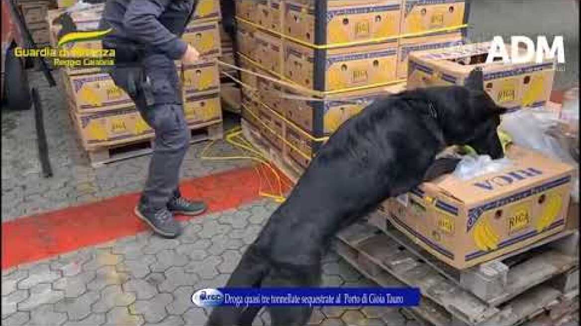 Droga quasi tre tonnellate sequestrate al  Porto di Gioia Tauro