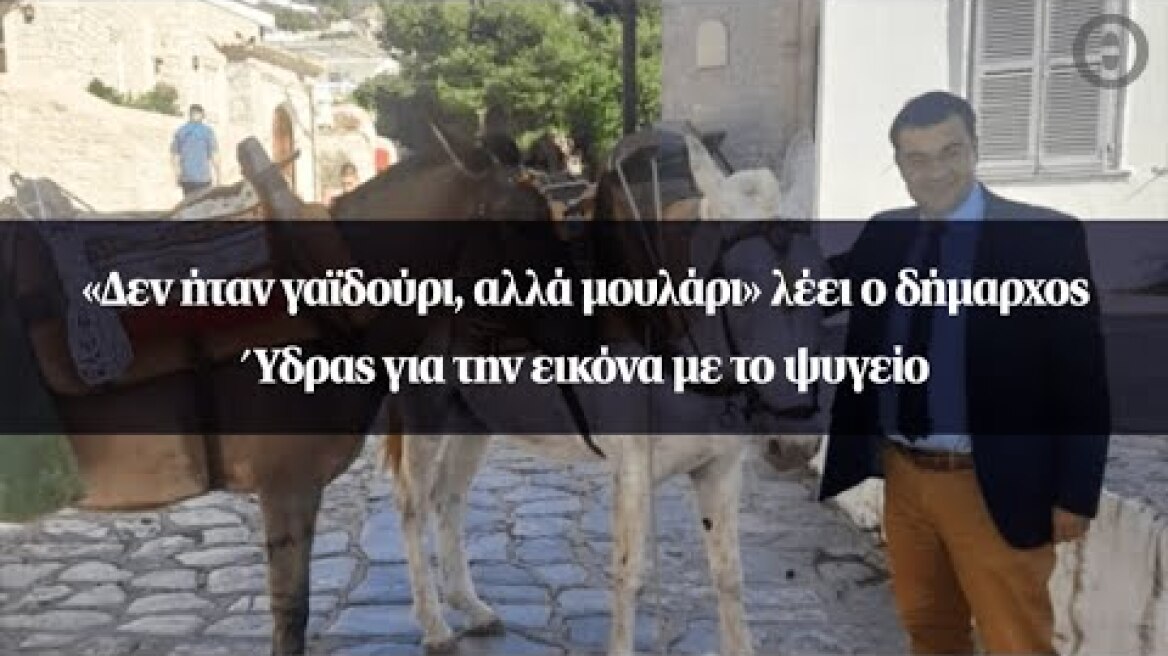«Δεν ήταν γαϊδούρι, αλλά μουλάρι» λέει ο δήμαρχος Ύδρας για την εικόνα με το ψυγείο