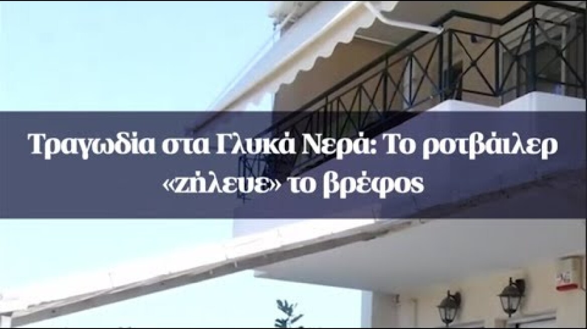 Τραγωδία στα Γλυκά Νερά: To ροτβάιλερ «ζήλευε» το βρέφος