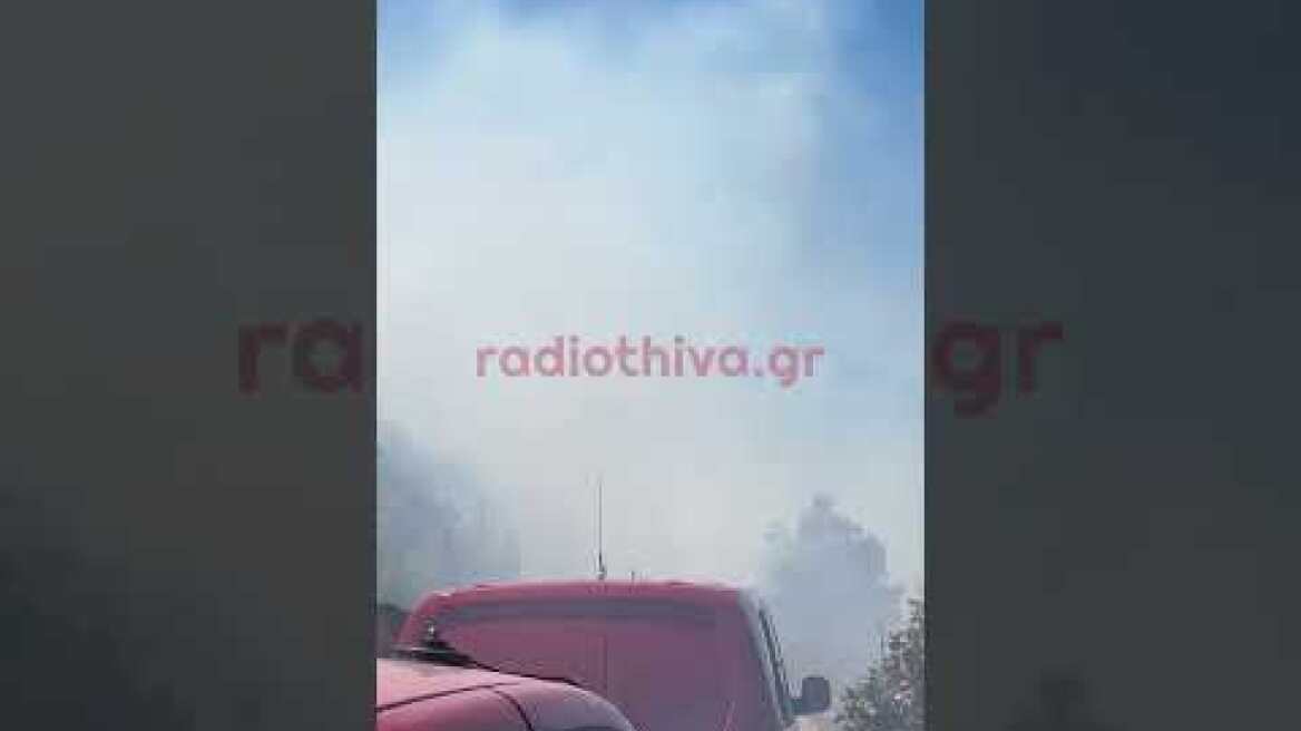 Εναέρια μέσα στη μάχη για την κατάσβεση της φωτιάς στον Αγιο Βασίλη